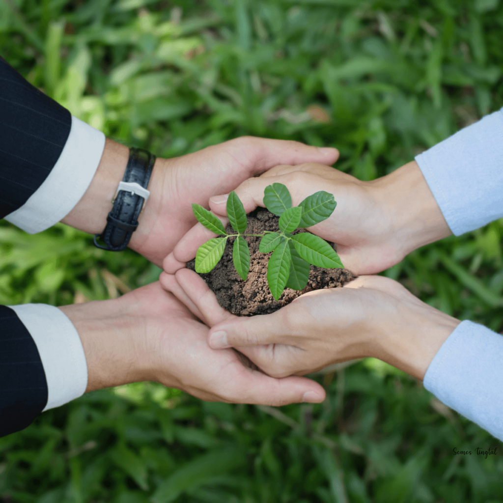 Un hombre y una mujer con sus manos unidas sostienen una planta